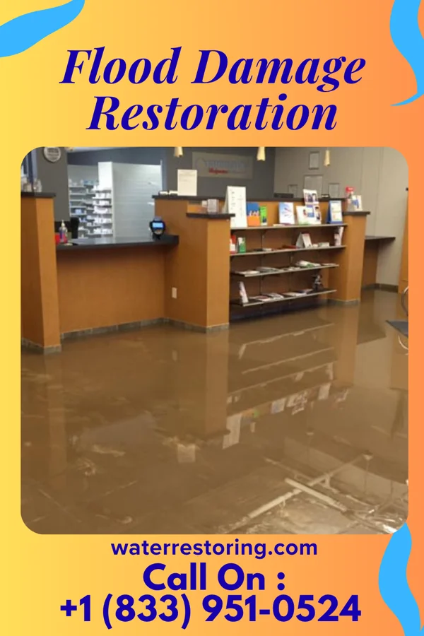 Flood Damage Restoration in Parkers Prairie, MN