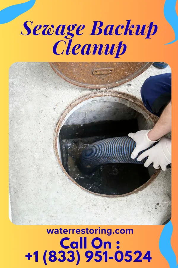 Sewage Backup Cleanup in Parkers Prairie, MN