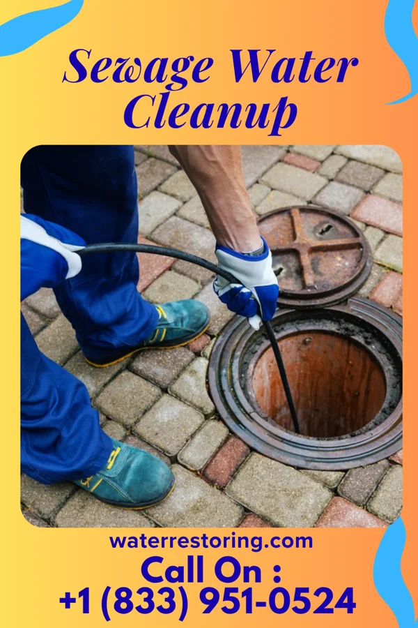 Sewage Water Cleanup in Parkers Prairie, MN